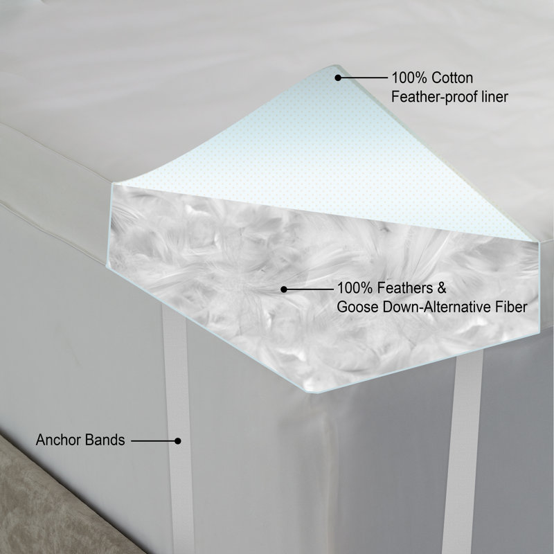 Hotel Laundry Platinum 5" Feather Mattress Topper & Reviews Wayfair